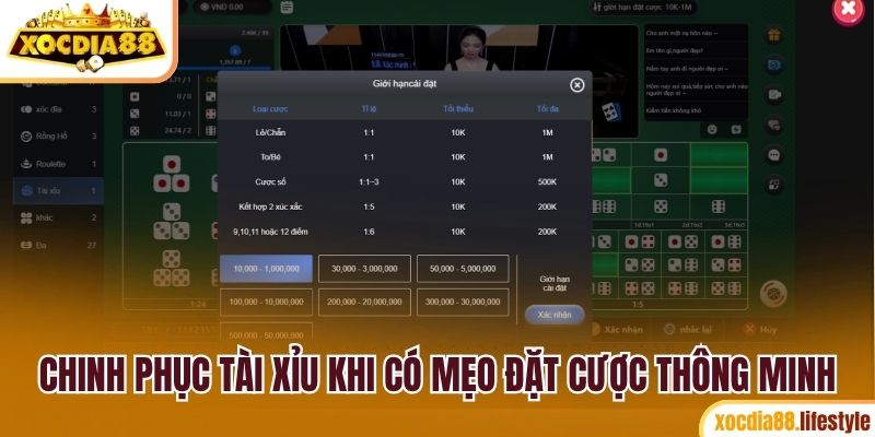 Chinh phục thành công tài xỉu online khi có mẹo đặt cược thông minh